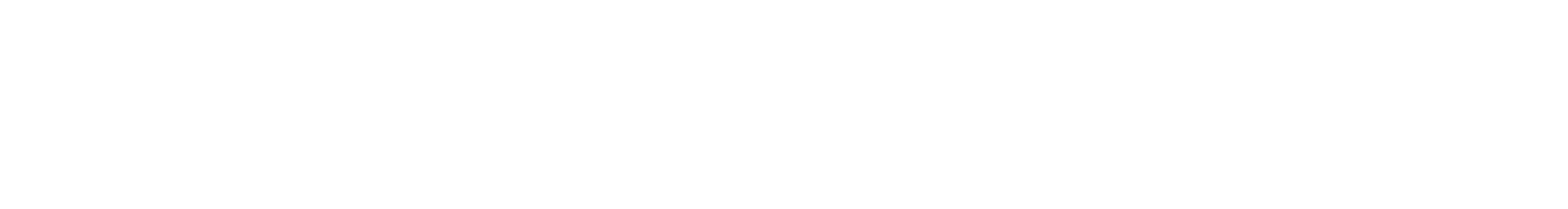 Nord Visio GmbH & Co. KG